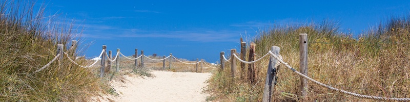 Picture of a sandy path